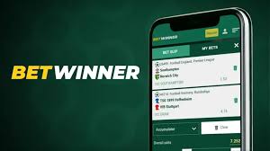 Comprehensive Review of BetWinner Senegal A Premier Betting Experience